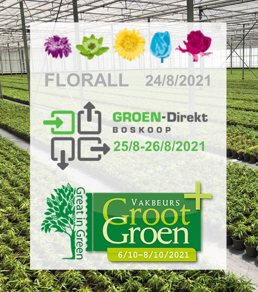 amateur stroomkring Bende Groot Groen Plus Zundert - Plant Select