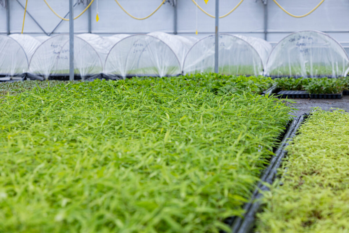Over ons – Plant Select