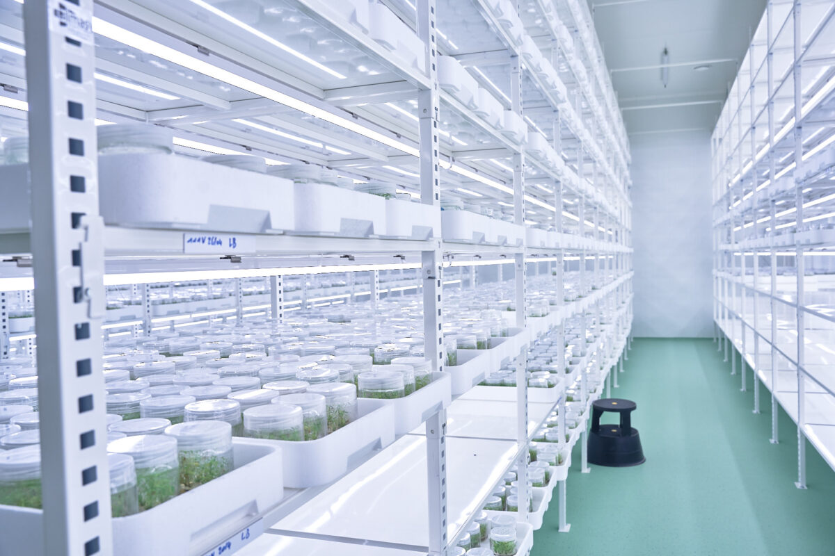 Over ons – Plant Select