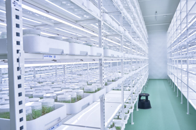 Over ons – Plant Select
